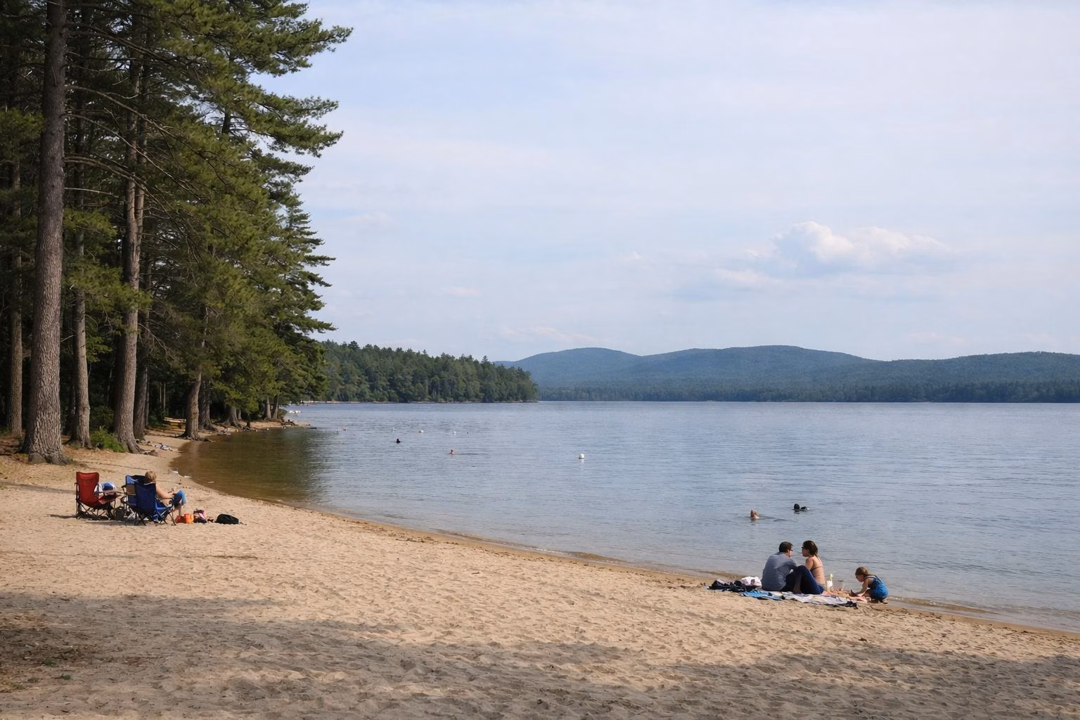 A wide sandy lake beach fringed by tall white pines, a big calm lake beyond and low blue hills on the far shore
